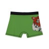 Crouching Tiger, Hidden Brief Boxers